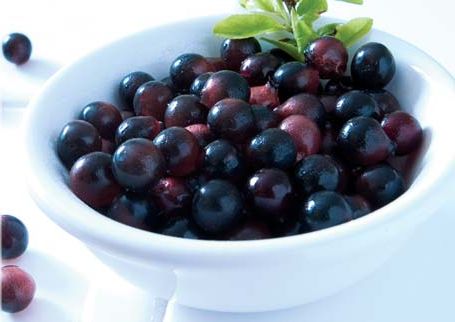 useful berries